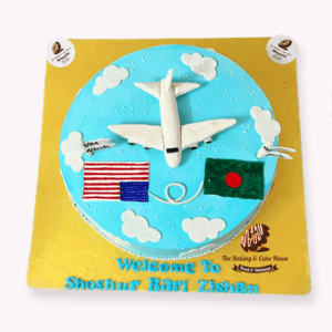 Greeting Cake with plane design