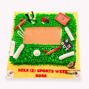 cricket Ground Cake